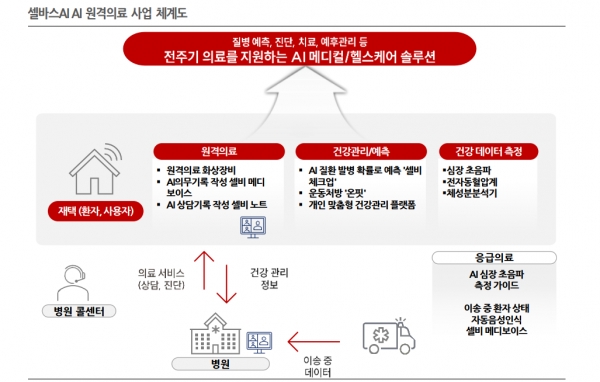 셀바스AI 원격의료 사업 체계도. 자료=한국IR협의회