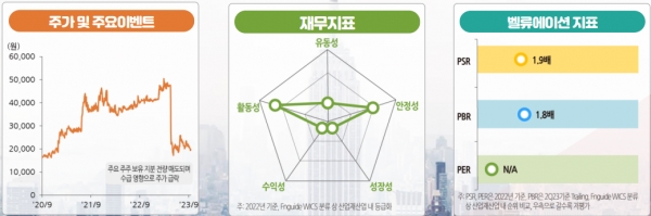 디와이피엔에프 주요지표 요약표. 자료=한국IR협의회