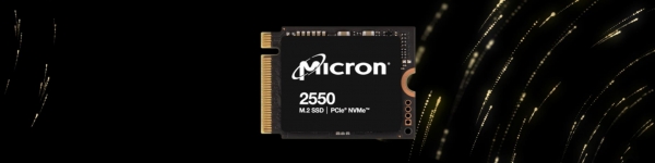 사진=마이크론 2550 칩, 마이크론 테크놀로지 홈페이지